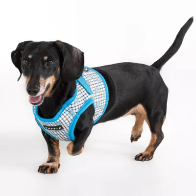 Puppia® Westley Floral Step-In Dog Harness - Image 4