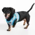 Puppia® Westley Floral Step-In Dog Harness image thumbnail 4