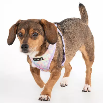 Puppia® Nola Pastel Tie-Dye Over-the-Head Dog Harness - Image 3