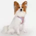 Puppia® Westley Floral Over-the-Head Dog Harness image thumbnail 3