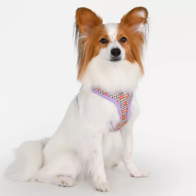 Puppia® Westley Floral Over-the-Head Dog Harness - Image 3