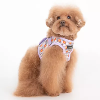 Puppia® Westley Floral Step-In Dog Harness - Image 4