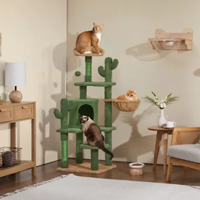 Yaheetech 53-in Cactus Cat Tree with Condo, Perch and Basket, Green/Brown - Image 2
