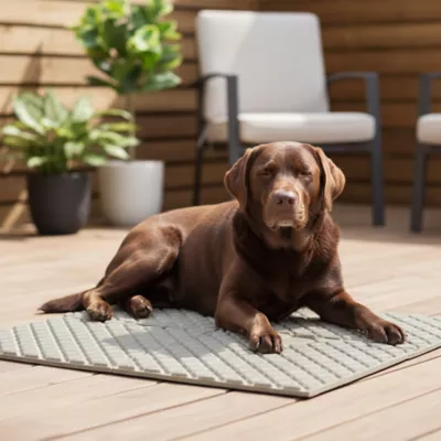 PetPro Interlocking Expandable Pet Floor Mat, 4 Piece - Image 3