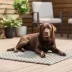 PetPro Interlocking Expandable Pet Floor Mat, 4 Piece image thumbnail 3