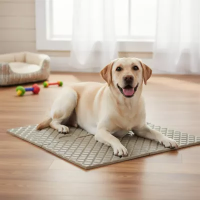 PetPro Interlocking Expandable Pet Floor Mat, 4 Piece - Image 4