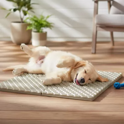 PetPro Interlocking Expandable Pet Floor Mat, 4 Piece - Image 5