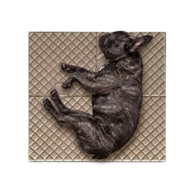 PetPro Interlocking Expandable Pet Floor Mat, 4 Piece - Image 9
