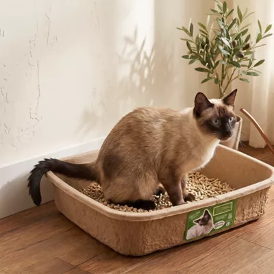 PetPro Small Disposable Molded Pulp Cat Litter Box, 5 Pack - Image 3