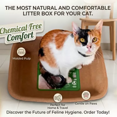 PetPro Small Disposable Molded Pulp Cat Litter Box, 5 Pack - Image 4