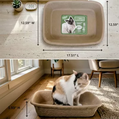 PetPro Small Disposable Molded Pulp Cat Litter Box, 5 Pack - Image 5