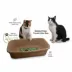 PetPro Small Disposable Molded Pulp Cat Litter Box, 5 Pack image thumbnail 6