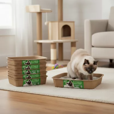 PetPro Small Disposable Molded Pulp Cat Litter Box, 5 Pack - Image 7