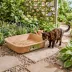 PetPro Small Disposable Molded Pulp Cat Litter Box, 5 Pack image thumbnail 9
