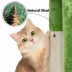 Yaheetech 23.5-in Compact Cat Tree with Condo, Wide Perch and Scratching Posts image thumbnail 5