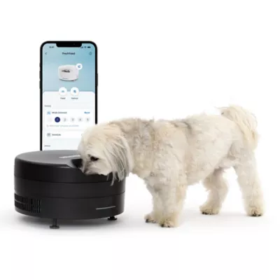 PetSafe® FreshFeed Refrigerated Pet Feeder, Black, Includes App-Based Controls - Image 1