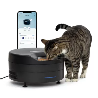 PetSafe® FreshFeed Refrigerated Pet Feeder, Black, Includes App-Based Controls - Image 2
