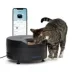 PetSafe® FreshFeed Refrigerated Pet Feeder, Black, Includes App-Based Controls image thumbnail 2