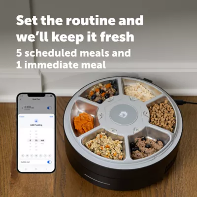 PetSafe® FreshFeed Refrigerated Pet Feeder, Black, Includes App-Based Controls - Image 4