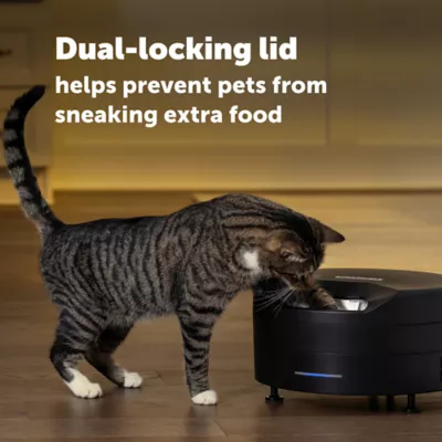 PetSafe® FreshFeed Refrigerated Pet Feeder, Black, Includes App-Based Controls - Image 8