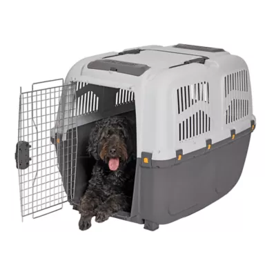 Midwest® Skudo Plastic Pet Travel Carrier W/ Fold-Down Carry Handle & Built-In Ventilation - Image 1