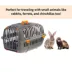 Midwest Homes for Pets Jet Travel Carrier W/ Built-In Orange Handle & Clear Door for Visibility image thumbnail 7