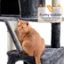 Yaheetech 71.5-in Multi-Level Cat Tree with 2 Condos, 2 Perches, Basket and Hammock image thumbnail 4