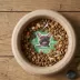PetPro Disposable Molded Pulp Dog & Cat Feeding Bowls, 5 Pack image thumbnail 3
