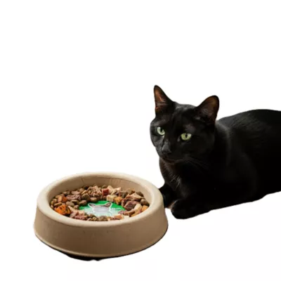 PetPro Disposable Molded Pulp Dog & Cat Feeding Bowls, 5 Pack - Image 4