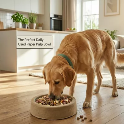 PetPro Disposable Molded Pulp Dog & Cat Feeding Bowls, 5 Pack - Image 6