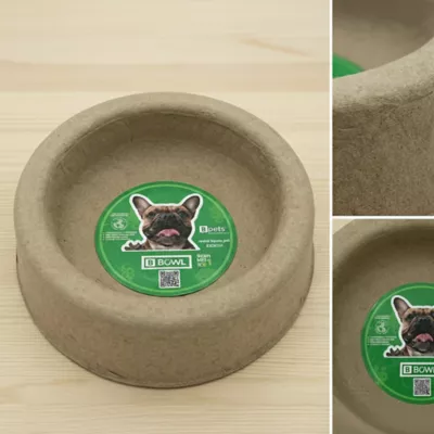 PetPro Disposable Molded Pulp Dog & Cat Feeding Bowls, 5 Pack - Image 9