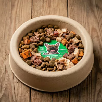 PetPro Disposable Molded Pulp Dog & Cat Feeding Bowls, 5 Pack - Image 10