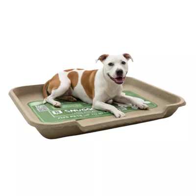 PetPro Disposable Molded Pulp Dog Bed, Large - Image 1