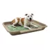 PetPro Disposable Molded Pulp Dog Bed, Large image thumbnail 1