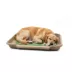 PetPro Disposable Molded Pulp Dog Bed, Large image thumbnail 2