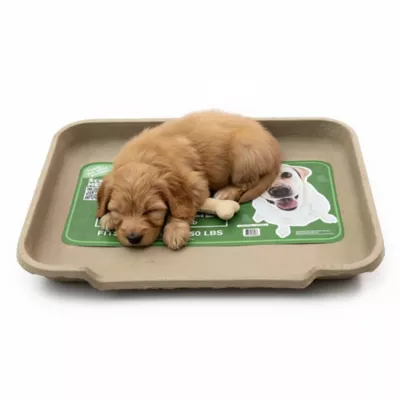 PetPro Disposable Molded Pulp Dog Bed, Large - Image 3