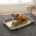 PetPro Disposable Molded Pulp Dog Bed, Large image thumbnail 4