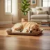 PetPro Disposable Molded Pulp Dog Bed, Large image thumbnail 5