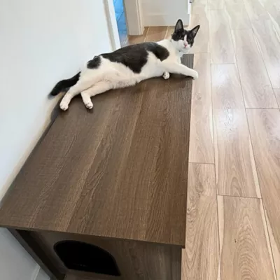 PetPro Wooden Furniture-Style Cat Litter Box Enclosure - Image 6