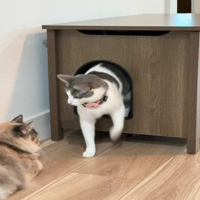 PetPro Wooden Furniture-Style Cat Litter Box Enclosure - Image 9