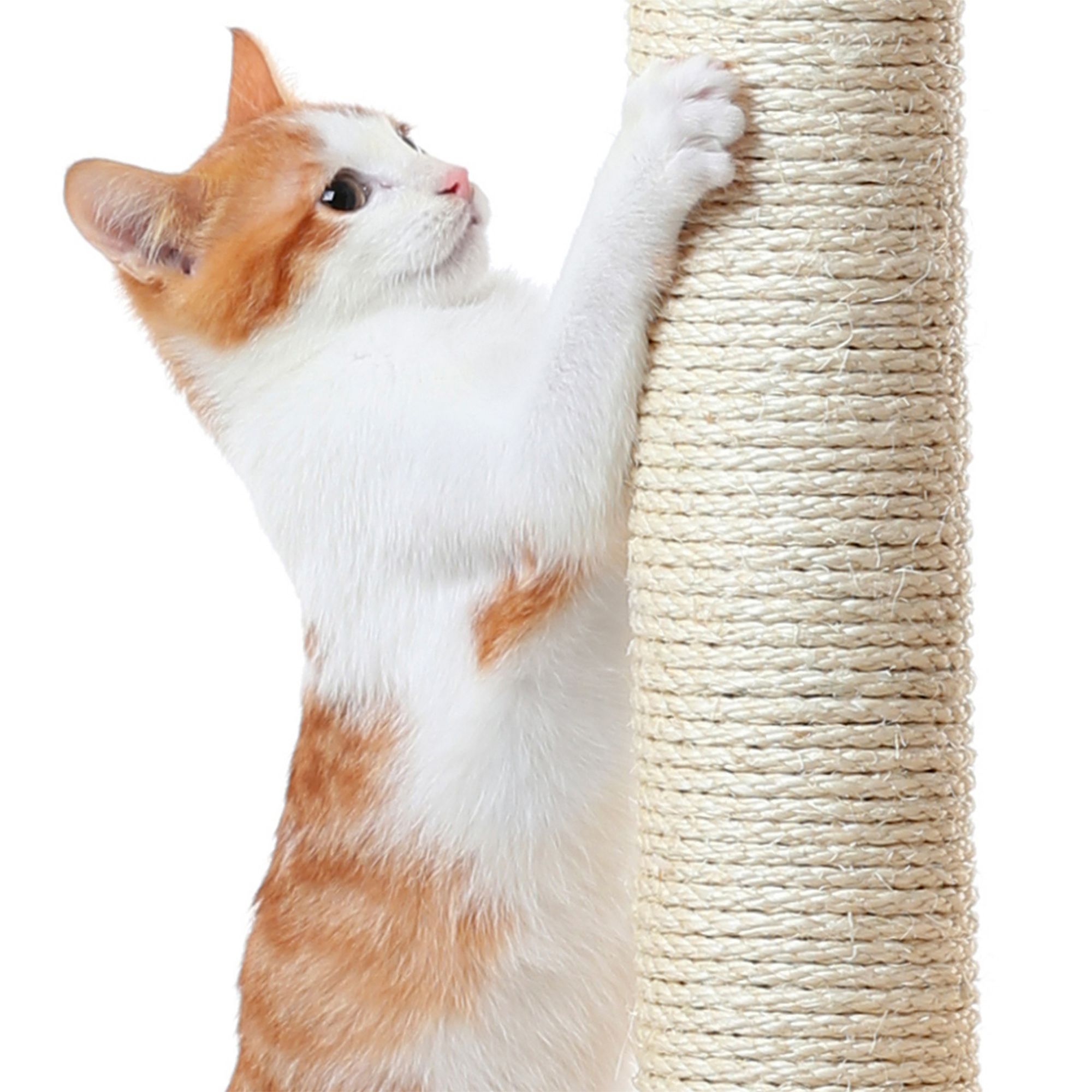 Yaheetech 61.5-in Multi-Level Cat Tree with 2 Condos and 3 Perches - thumbnail 5