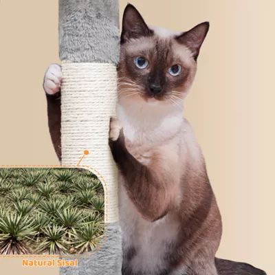 Yaheetech 73-in Multi-Level Cat Tree with 2 Condos, 2 Perches, Basket and Hammock - Image 4