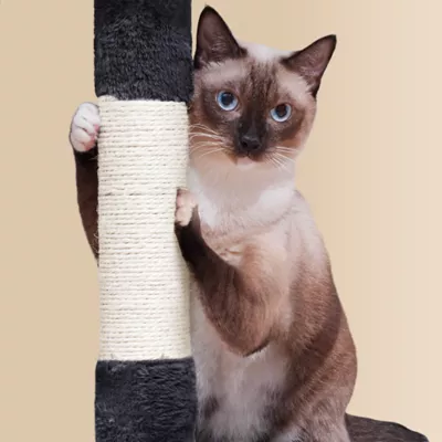 Yaheetech 64.5-in Multi-Level Cat Tree with 2 Condos, Hammock and Basket - Image 4