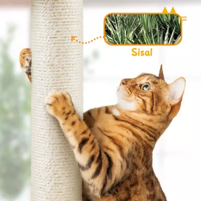 Yaheetech 89-104.5-in Adjustable Floor-to-Ceiling Cat Tree with Condo and 4 Perches - Image 4