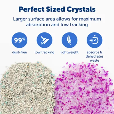 PetSafe® ScoopFree Premium Fresh Crystal Cat Litter, Low-Tracking & Lightweight Litter, Lavender - Image 3