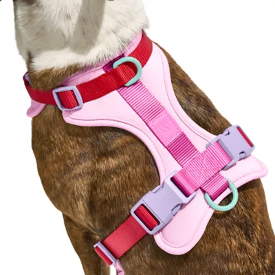 Wild One Adjustable Cushioned Dog Harness, Color and Size Vary - Image 2