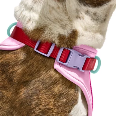 Wild One Adjustable Cushioned Dog Harness, Color and Size Vary - Image 3