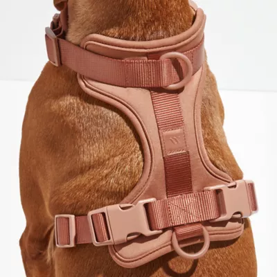 Wild One Adjustable Cushioned Dog Harness, Color and Size Vary - Image 2