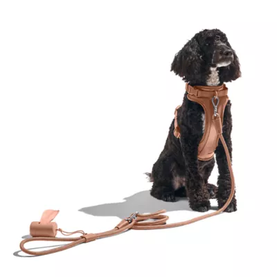 Wild One Adjustable Cushioned Dog Harness, Color and Size Vary - Image 3
