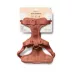 Wild One Adjustable Cushioned Dog Harness, Color and Size Vary image thumbnail 5